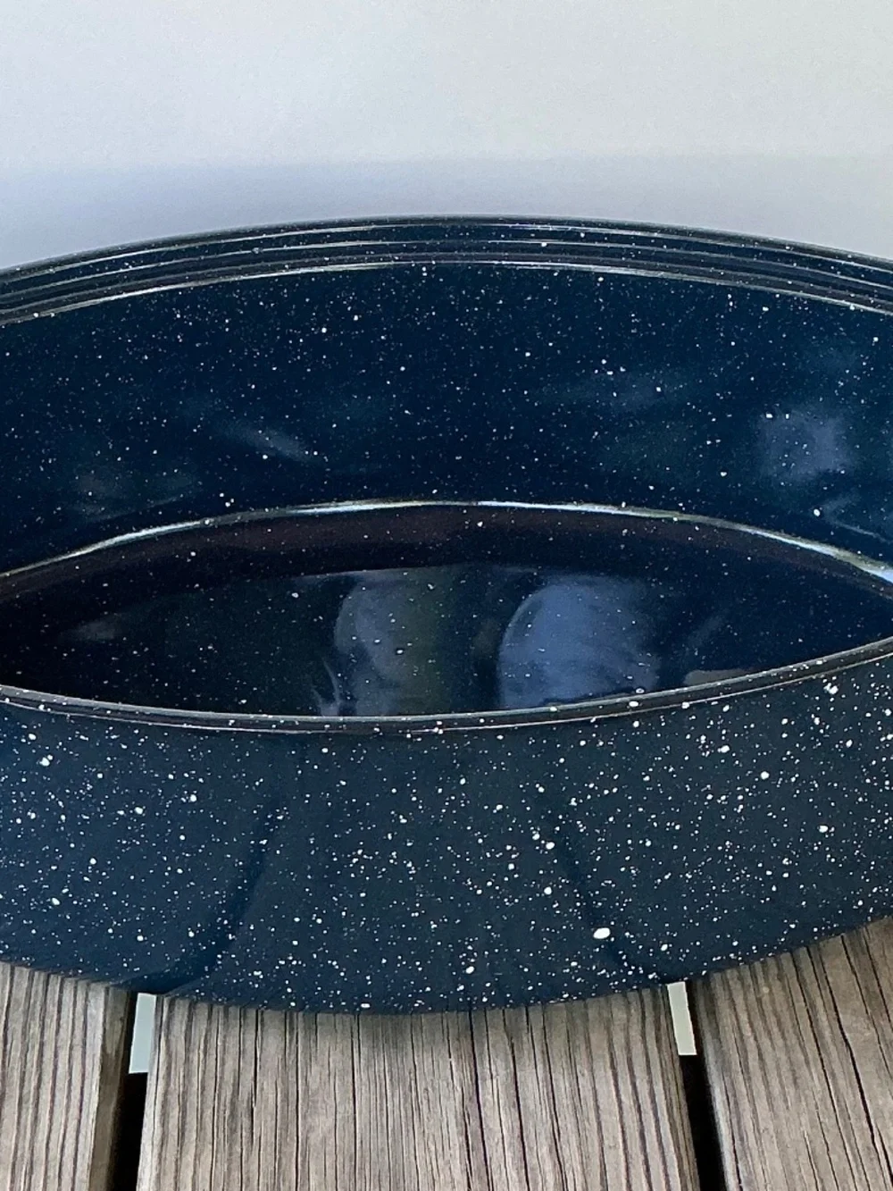 Granite Ware Blue Speckled Roasting Pan Oval Tree Enamelware Handles Granite